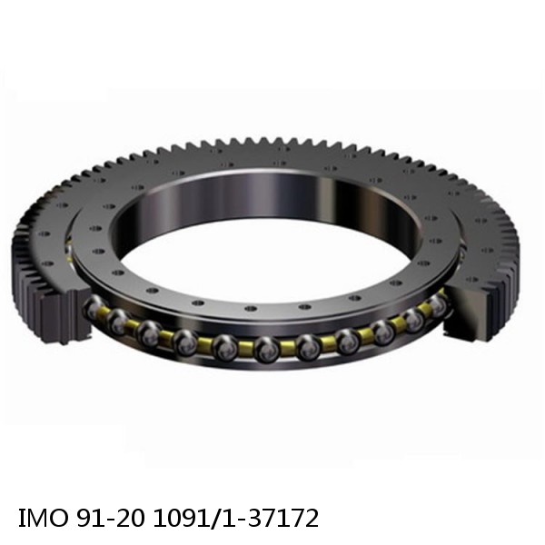 91-20 1091/1-37172 IMO Slewing Ring Bearings