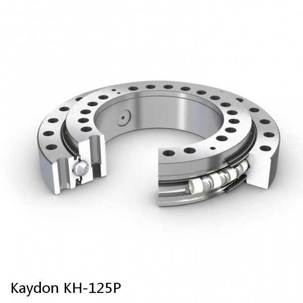 KH-125P Kaydon Slewing Ring Bearings