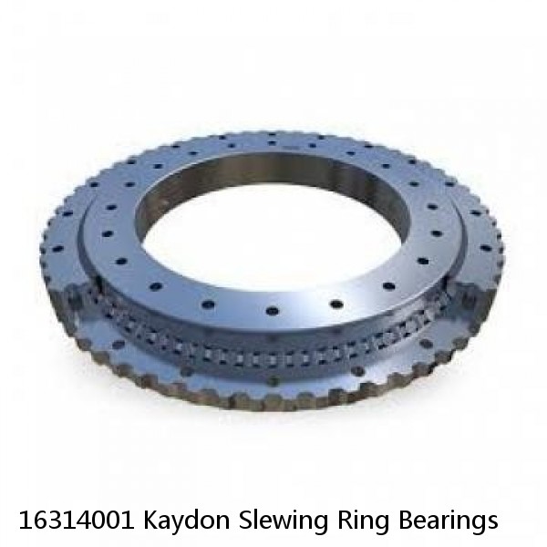 16314001 Kaydon Slewing Ring Bearings