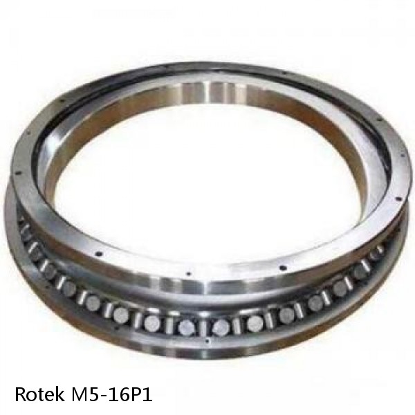 M5-16P1 Rotek Slewing Ring Bearings