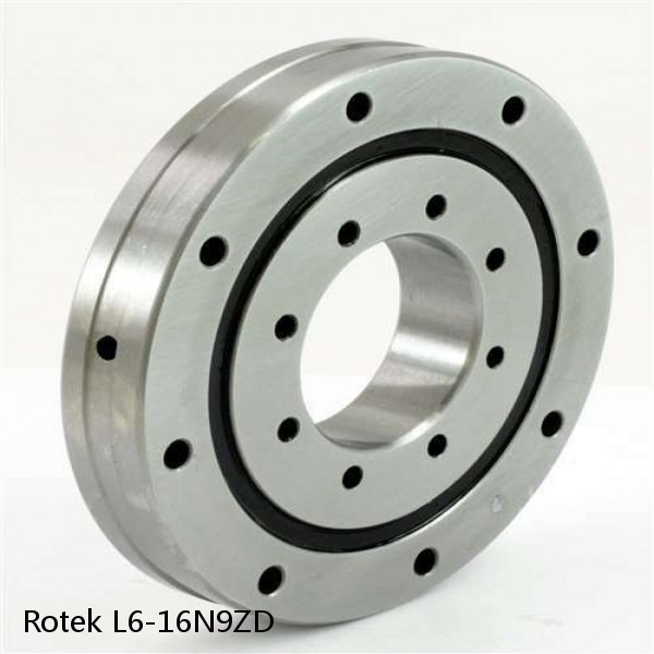 L6-16N9ZD Rotek Slewing Ring Bearings