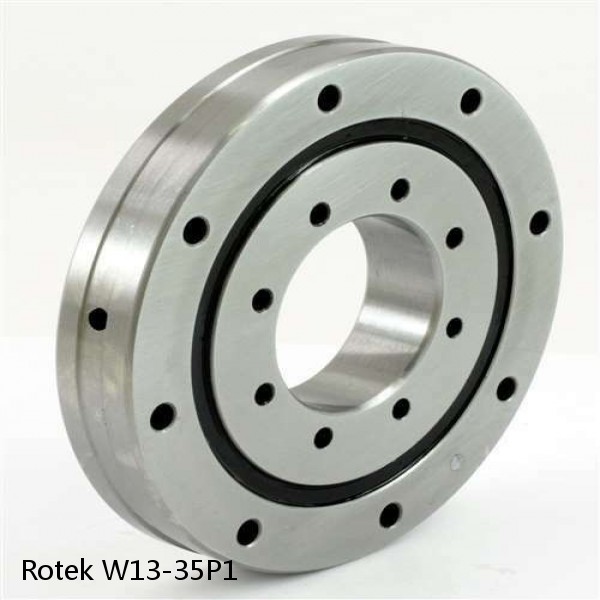 W13-35P1 Rotek Slewing Ring Bearings