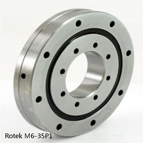 M6-35P1 Rotek Slewing Ring Bearings