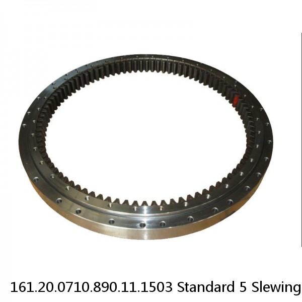 161.20.0710.890.11.1503 Standard 5 Slewing Ring Bearings