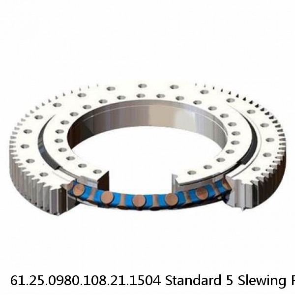 61.25.0980.108.21.1504 Standard 5 Slewing Ring Bearings