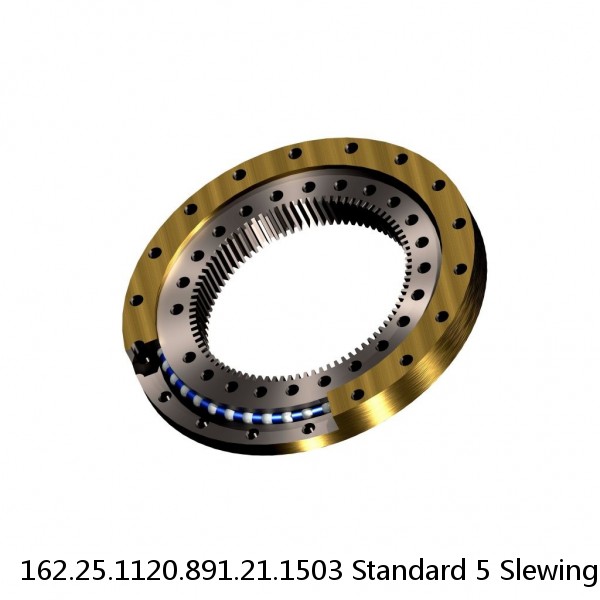 162.25.1120.891.21.1503 Standard 5 Slewing Ring Bearings