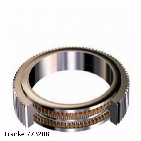 77320B Franke Slewing Ring Bearings