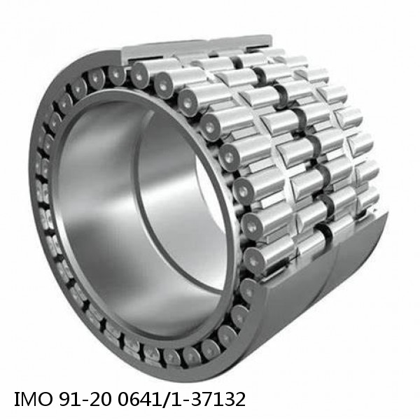 91-20 0641/1-37132 IMO Slewing Ring Bearings