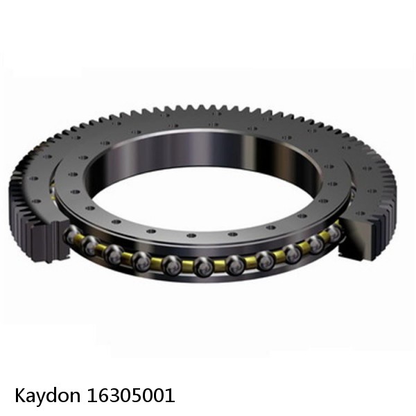 16305001 Kaydon Slewing Ring Bearings