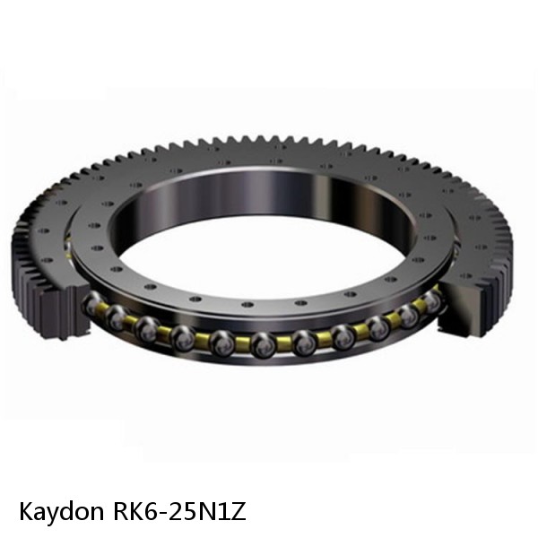 RK6-25N1Z Kaydon Slewing Ring Bearings