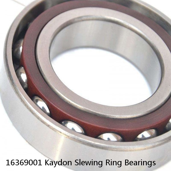 16369001 Kaydon Slewing Ring Bearings