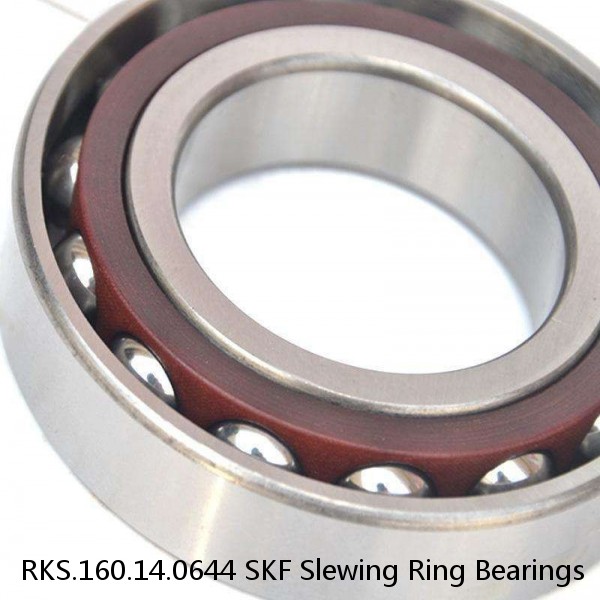 RKS.160.14.0644 SKF Slewing Ring Bearings