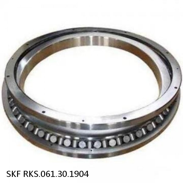 RKS.061.30.1904 SKF Slewing Ring Bearings