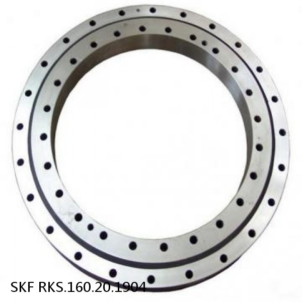 RKS.160.20.1904 SKF Slewing Ring Bearings