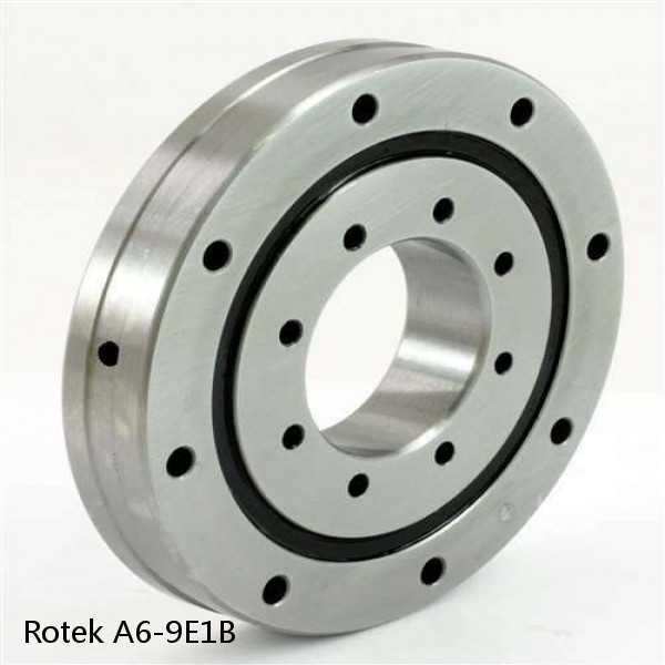 A6-9E1B Rotek Slewing Ring Bearings