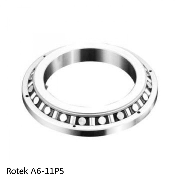 A6-11P5 Rotek Slewing Ring Bearings