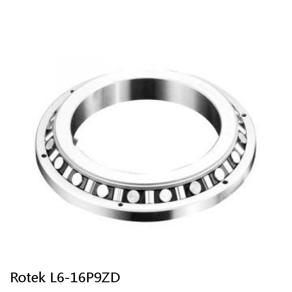 L6-16P9ZD Rotek Slewing Ring Bearings