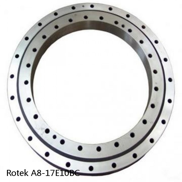 A8-17E10BC Rotek Slewing Ring Bearings