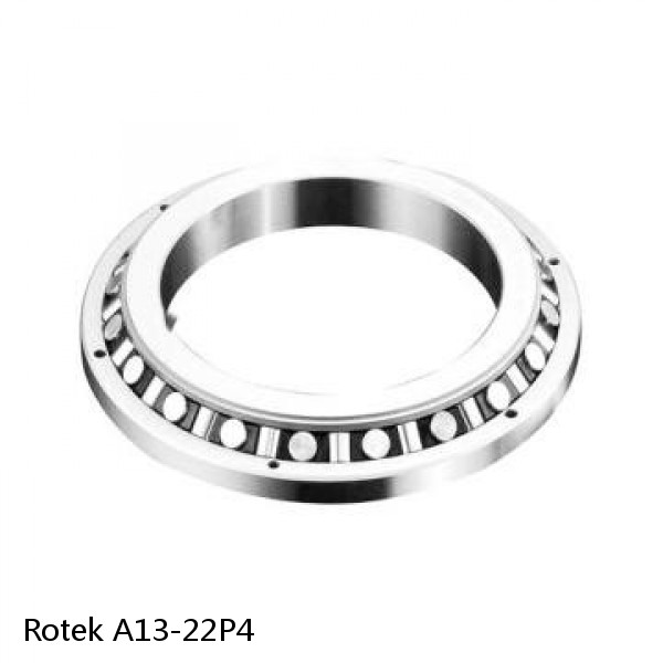 A13-22P4 Rotek Slewing Ring Bearings