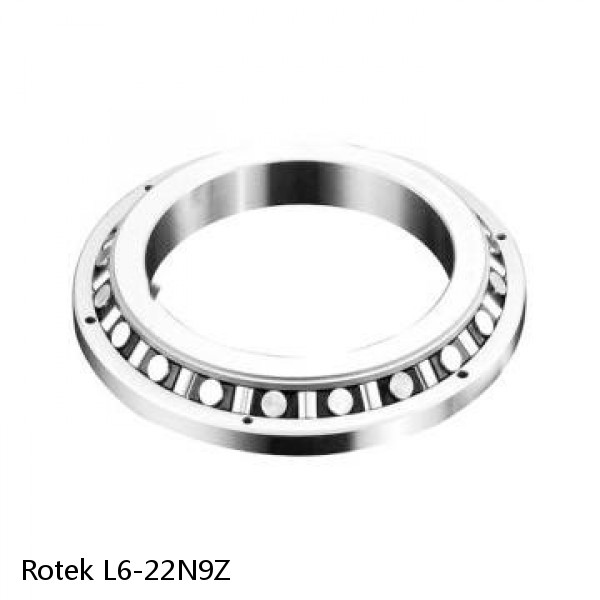 L6-22N9Z Rotek Slewing Ring Bearings