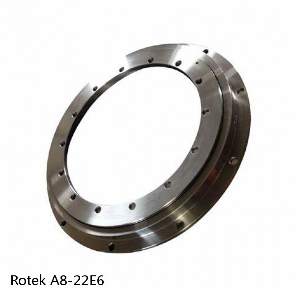 A8-22E6 Rotek Slewing Ring Bearings