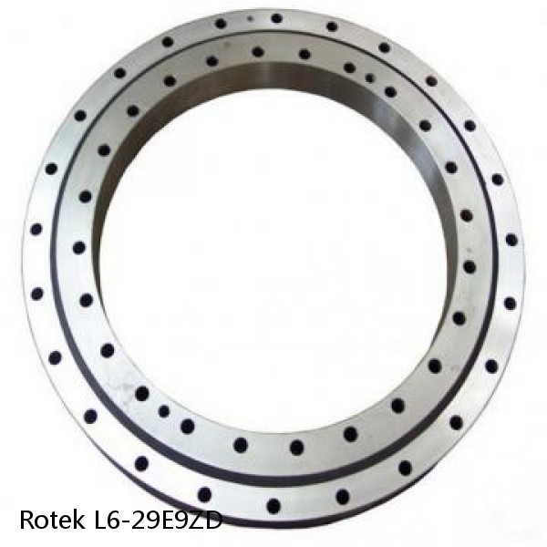 L6-29E9ZD Rotek Slewing Ring Bearings