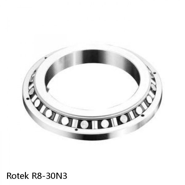 R8-30N3 Rotek Slewing Ring Bearings