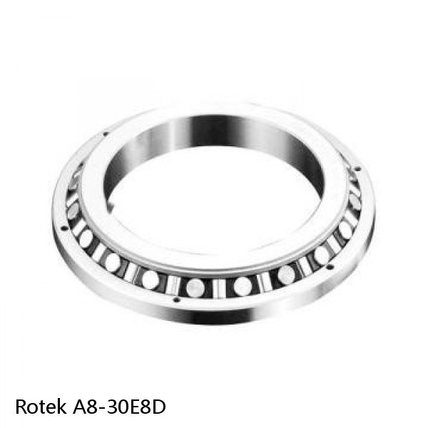 A8-30E8D Rotek Slewing Ring Bearings