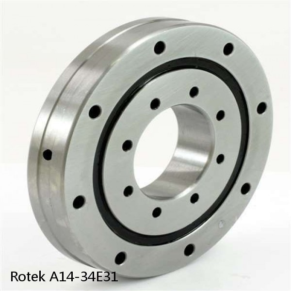 A14-34E31 Rotek Slewing Ring Bearings