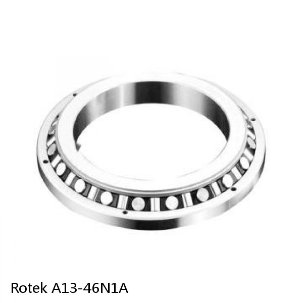 A13-46N1A Rotek Slewing Ring Bearings