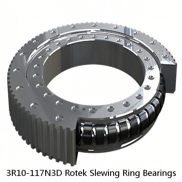 3R10-117N3D Rotek Slewing Ring Bearings