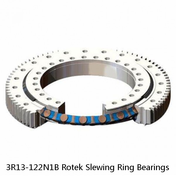 3R13-122N1B Rotek Slewing Ring Bearings