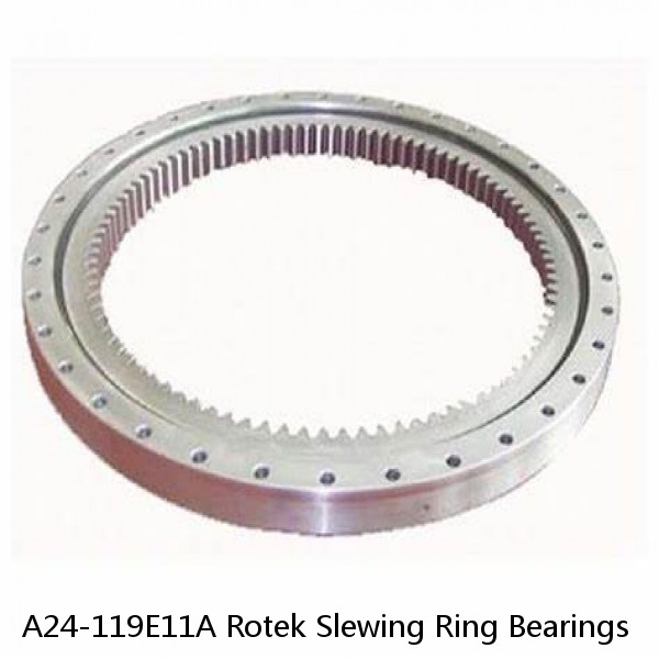 A24-119E11A Rotek Slewing Ring Bearings