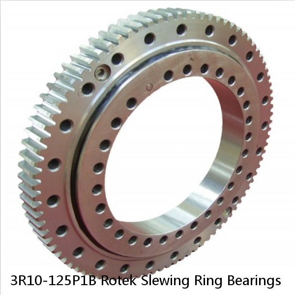 3R10-125P1B Rotek Slewing Ring Bearings