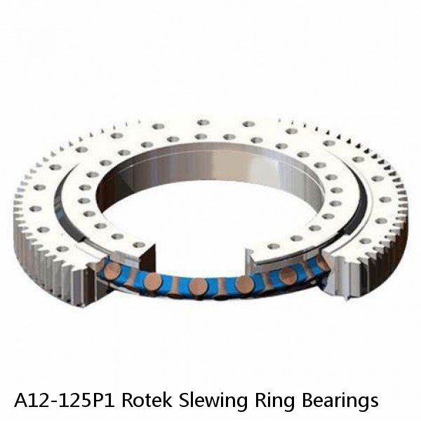 A12-125P1 Rotek Slewing Ring Bearings