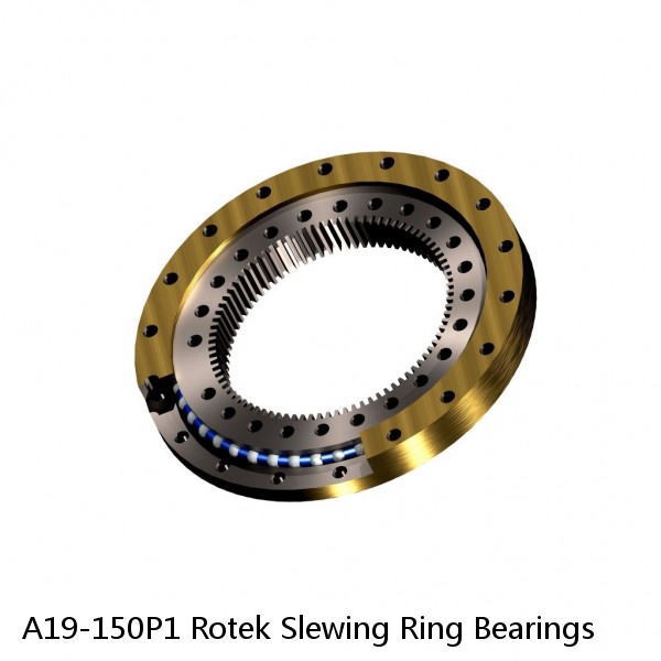 A19-150P1 Rotek Slewing Ring Bearings