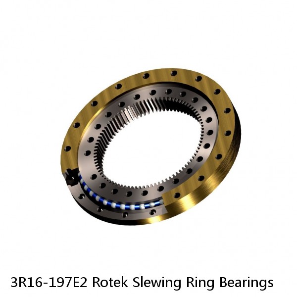 3R16-197E2 Rotek Slewing Ring Bearings