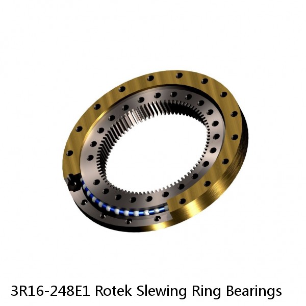 3R16-248E1 Rotek Slewing Ring Bearings