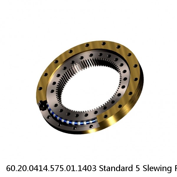 60.20.0414.575.01.1403 Standard 5 Slewing Ring Bearings