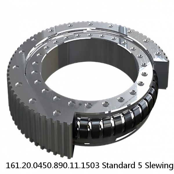 161.20.0450.890.11.1503 Standard 5 Slewing Ring Bearings