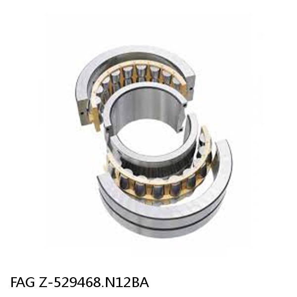 Z-529468.N12BA   FAG ROLL NECK BEARINGS for ROLLING MILL