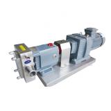 REXROTH PVV2-1X/040RA15UVB Vane pump